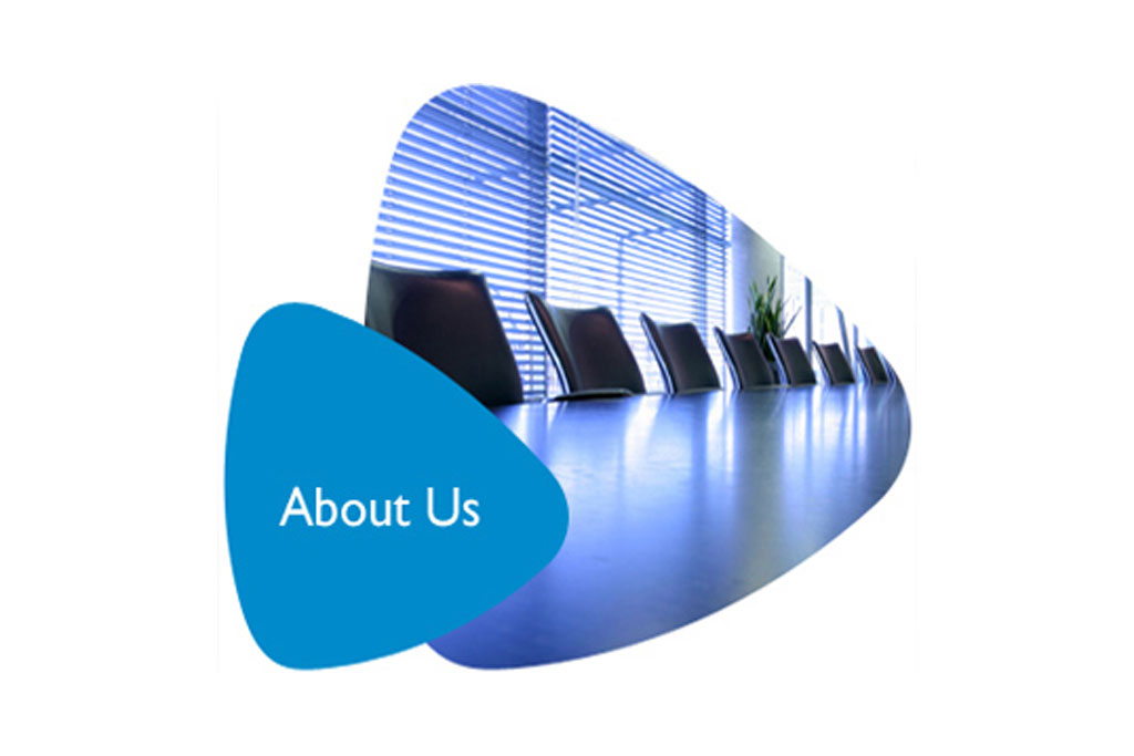 Web Service Delhi
